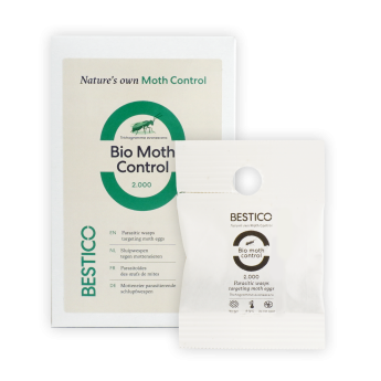 Bio Moth Control sluipwespen
